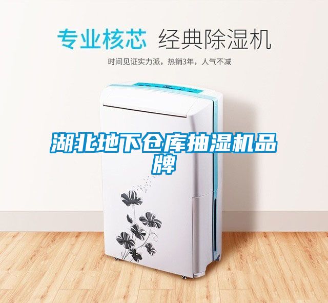 湖北地下仓库抽湿机品牌