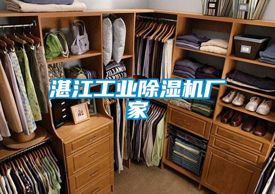 湛江工业除湿机厂家