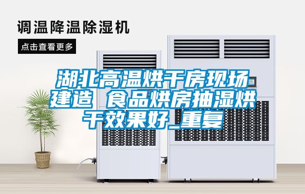 湖北高温烘干房现场建造 食品烘房抽湿烘干效果好_重复