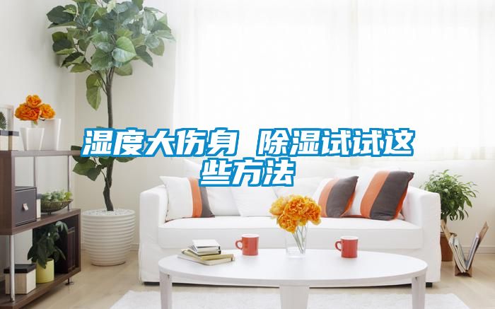湿度大伤身 除湿试试这些方法