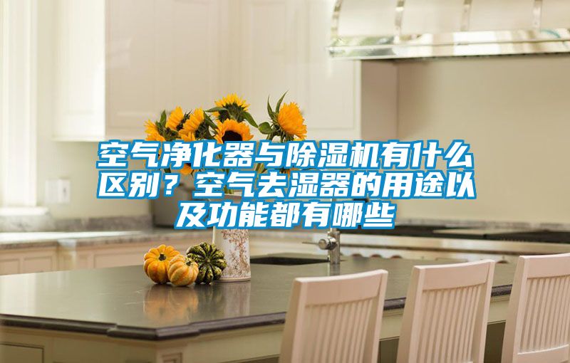 空气净化器与除湿机有什么区别？空气去湿器的用途以及功能都有哪些