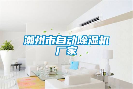 潮州市自动除湿机厂家