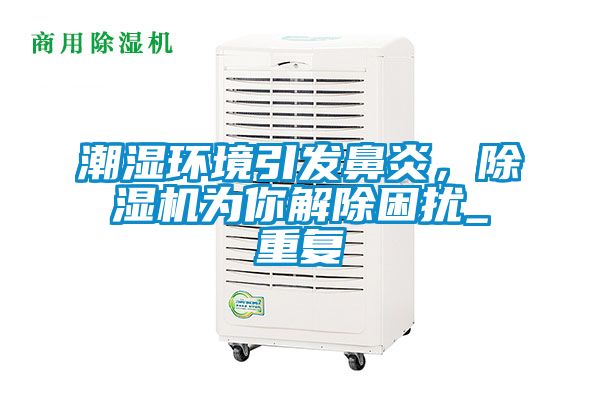 潮湿环境引发鼻炎，除湿机为你解除困扰_重复