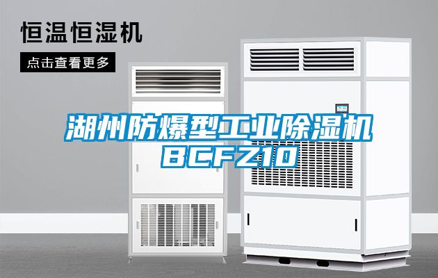 湖州防爆型工业除湿机 BCFZ10