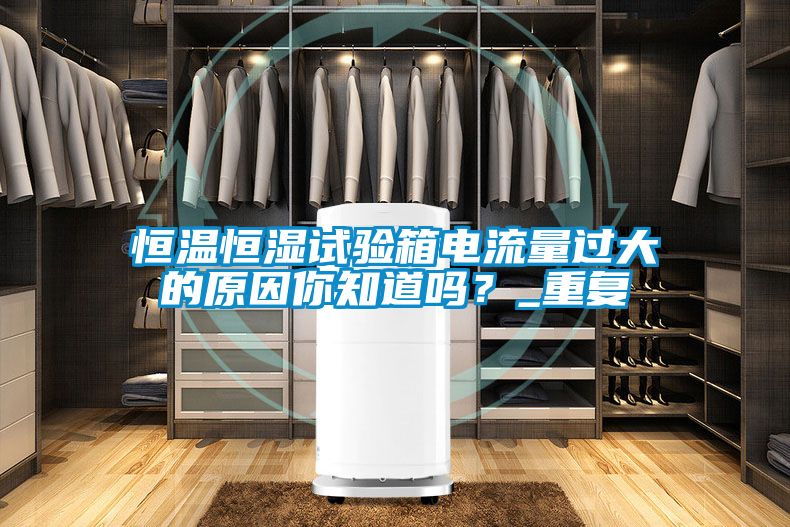 恒温恒湿试验箱电流量过大的原因你知道吗？_重复