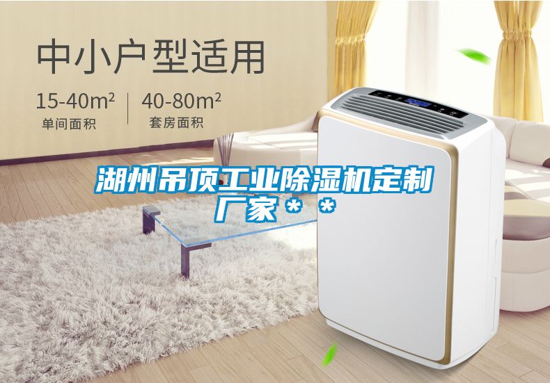 湖州吊顶工业除湿机定制 厂家＊＊