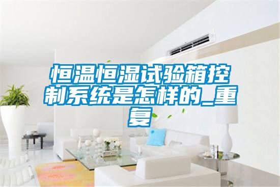 恒温恒湿试验箱控制系统是怎样的_重复