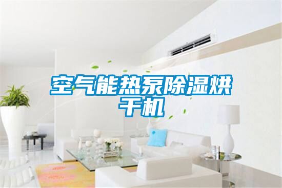 空气能热泵除湿烘干机