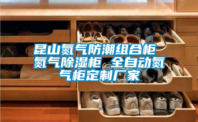 昆山氮气防潮组合柜 氮气除湿柜 全自动氮气柜定制厂家