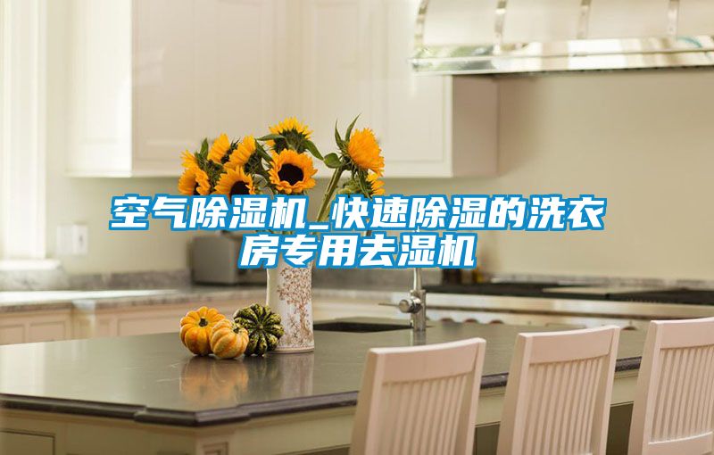 空气除湿机_快速除湿的洗衣房专用去湿机