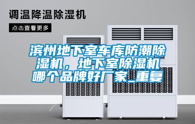 滨州地下室车库防潮除湿机，地下室除湿机哪个品牌好厂家_重复