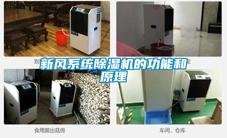 新风系统除湿机的功能和原理