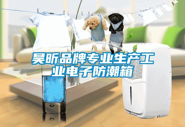 昊昕品牌专业生产工业电子防潮箱