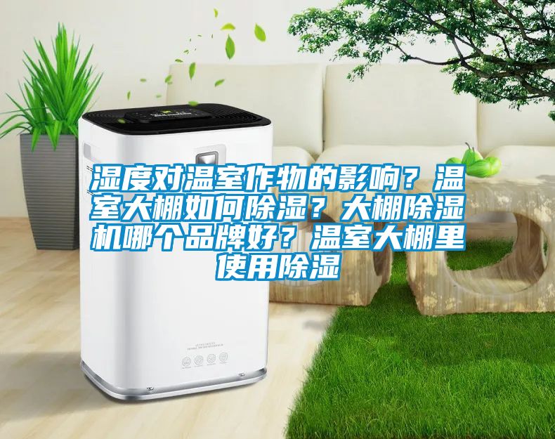 湿度对温室作物的影响？温室大棚如何除湿？大棚除湿机哪个品牌好？温室大棚里使用除湿