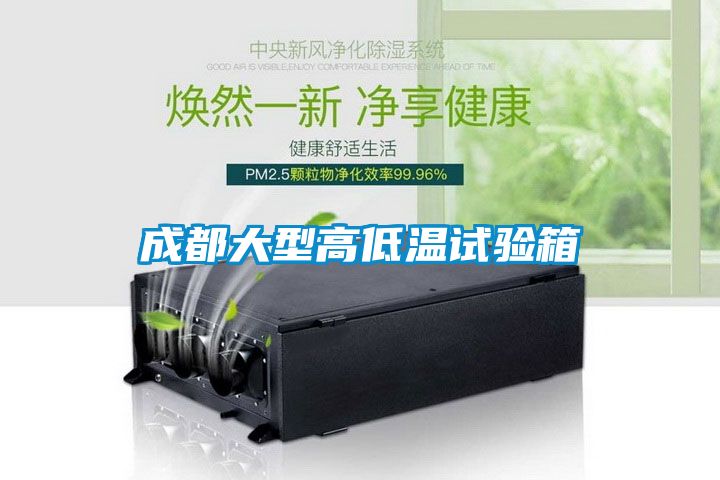 成都大型高低温试验箱