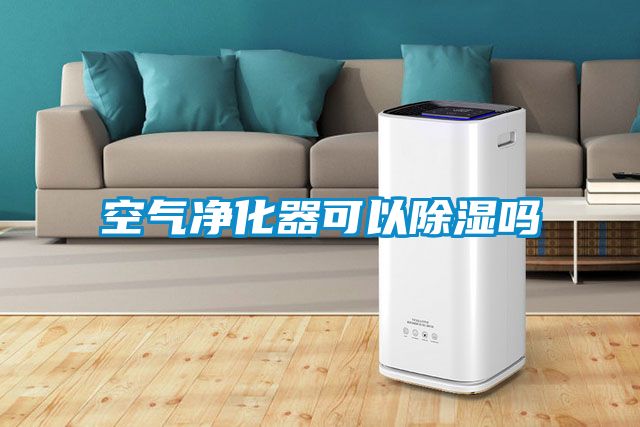 空气净化器可以除湿吗