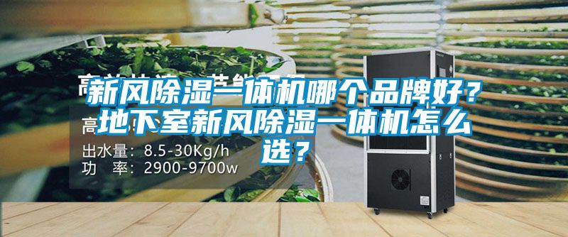 新风除湿一体机哪个品牌好？地下室新风除湿一体机怎么选？