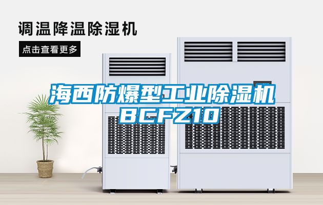 海西防爆型工业除湿机 BCFZ10