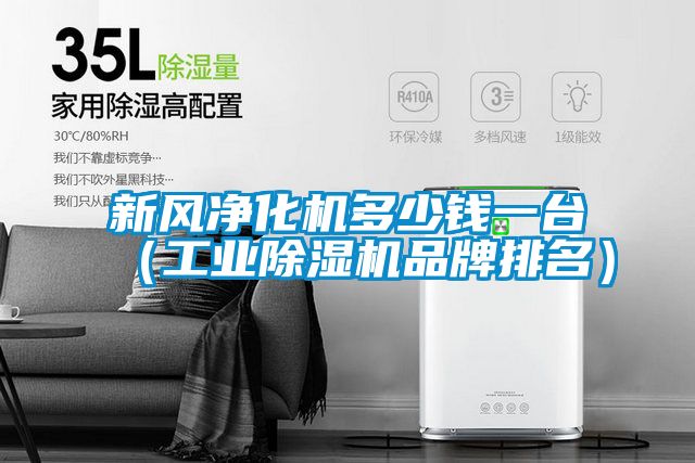 新风净化机多少钱一台（工业除湿机品牌排名）