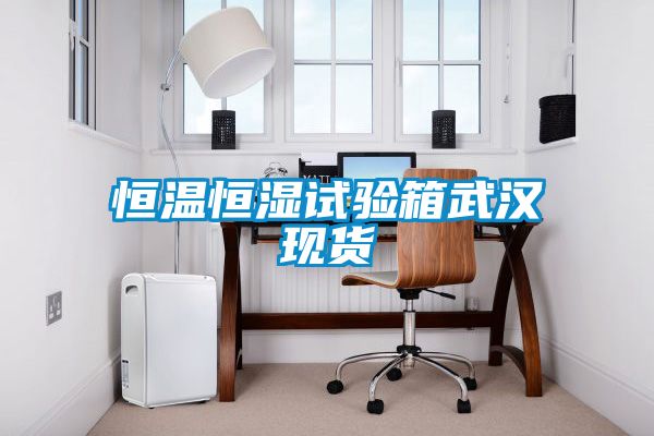 恒温恒湿试验箱武汉现货