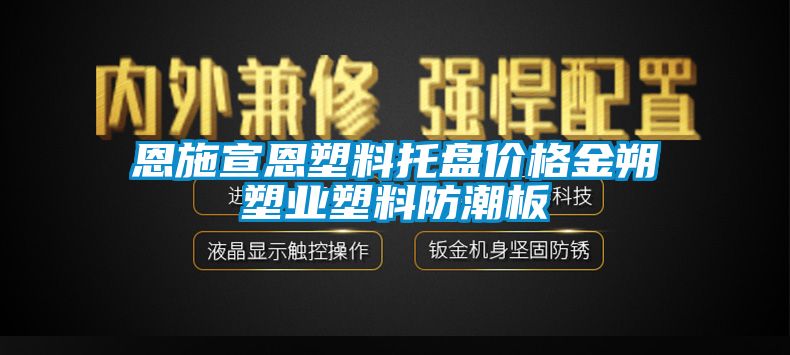 恩施宣恩塑料托盘价格金朔塑业塑料防潮板