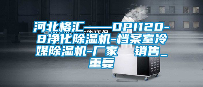 河北格汇——DPI120-8净化除湿机-档案室冷媒除湿机-厂家  销售_重复