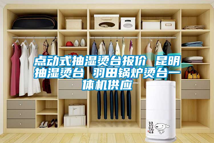 点动式抽湿烫台报价 昆明抽湿烫台 羽田锅炉烫台一体机供应