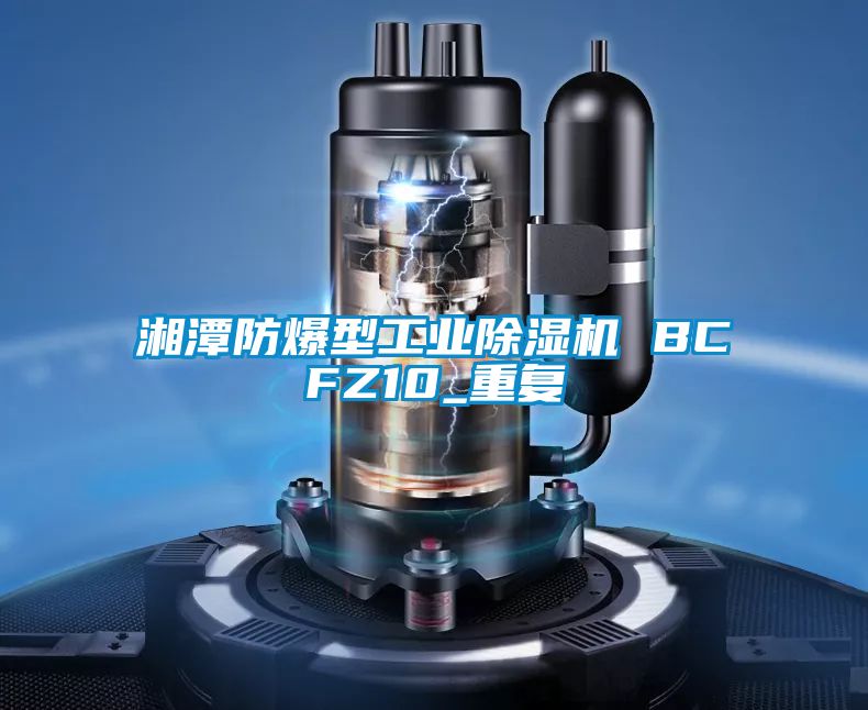 湘潭防爆型工业除湿机 BCFZ10_重复
