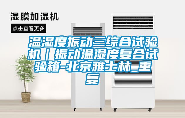 温湿度振动三综合试验机｜振动温湿度复合试验箱-北京雅士林_重复