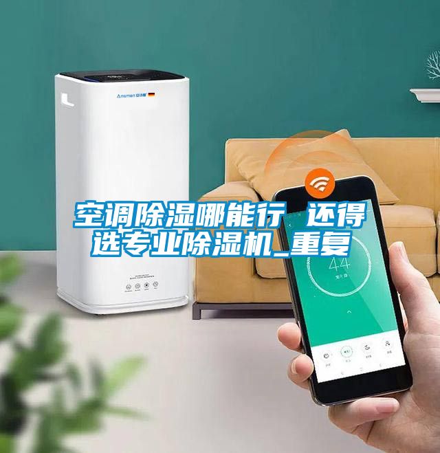空调除湿哪能行 还得选专业除湿机_重复