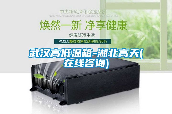 武汉高低温箱-湖北高天(在线咨询)