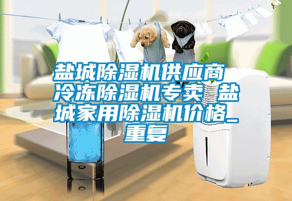 盐城除湿机供应商 冷冻除湿机专卖 盐城家用除湿机价格_重复