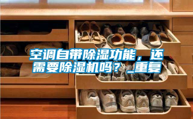 空调自带除湿功能，还需要除湿机吗？_重复
