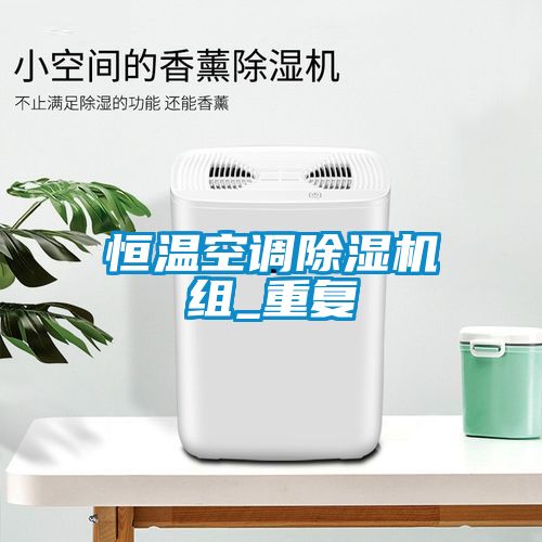 恒温空调除湿机组_重复