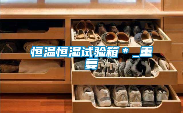 恒温恒湿试验箱＊_重复