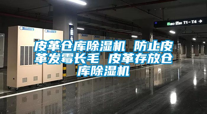 皮革仓库除湿机 防止皮革发霉长毛 皮革存放仓库除湿机