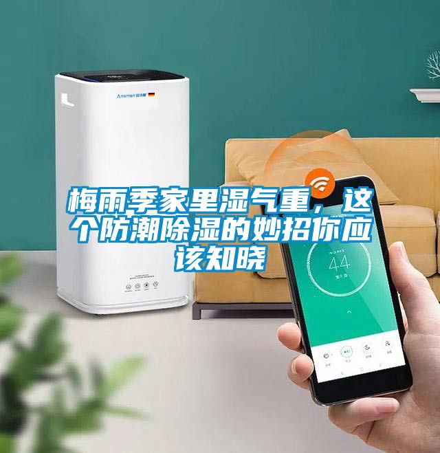梅雨季家里湿气重，这个防潮除湿的妙招你应该知晓
