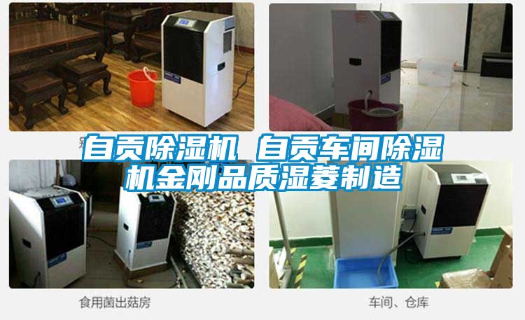 自贡除湿机 自贡车间除湿机金刚品质湿菱制造