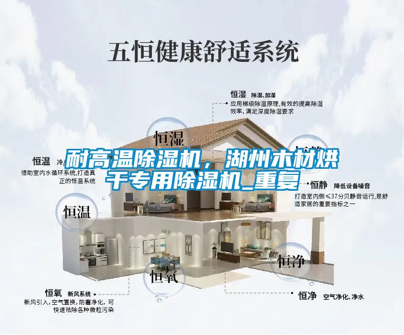 耐高温除湿机，湖州木材烘干专用除湿机_重复
