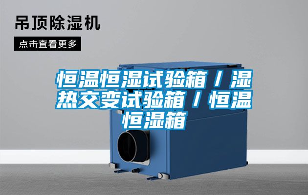恒温恒湿试验箱／湿热交变试验箱／恒温恒湿箱