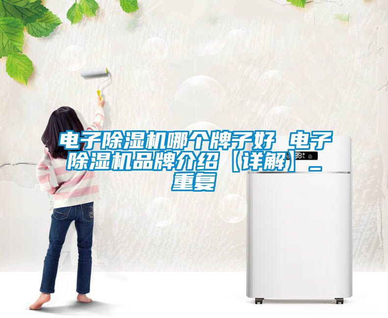 电子除湿机哪个牌子好 电子除湿机品牌介绍【详解】_重复