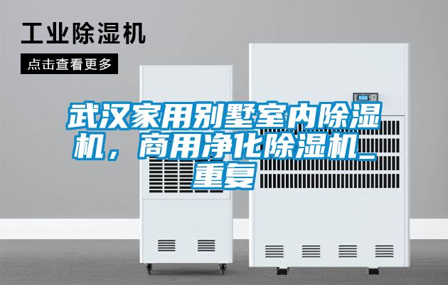 武汉家用别墅室内除湿机，商用净化除湿机_重复