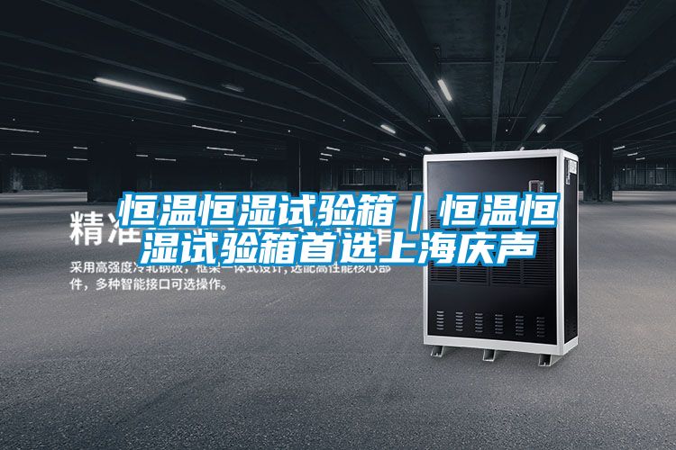 恒温恒湿试验箱｜恒温恒湿试验箱首选上海庆声