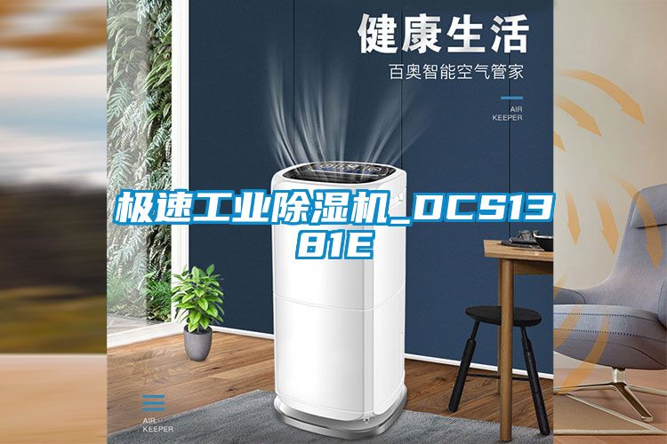 极速工业除湿机_DCS1381E