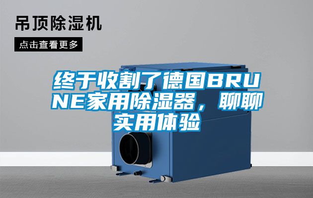 终于收割了德国BRUNE家用除湿器，聊聊实用体验