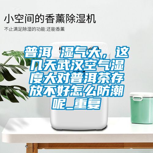 普洱 湿气大，这几天武汉空气湿度大对普洱茶存放不好怎么防潮呢_重复