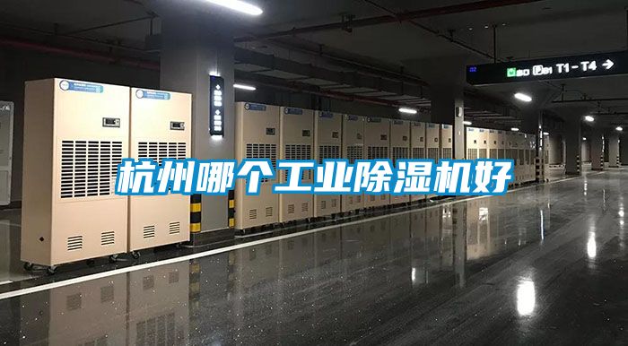 杭州哪个工业除湿机好