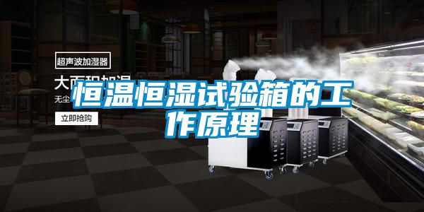 恒温恒湿试验箱的工作原理