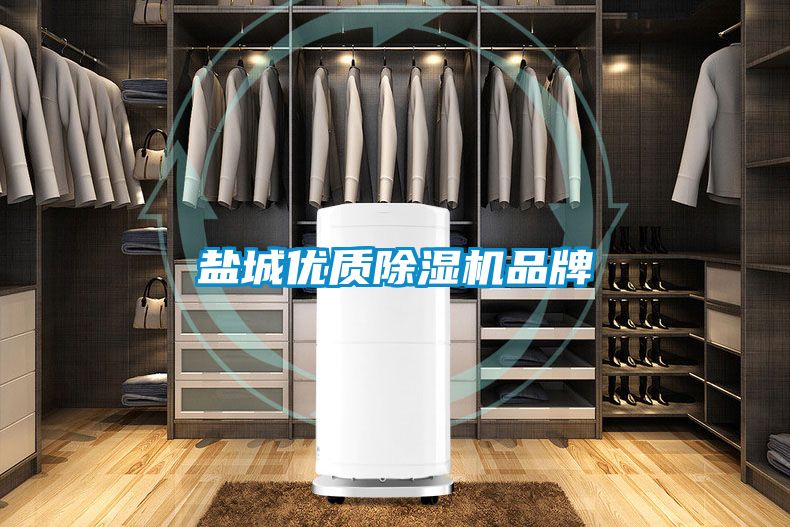 盐城优质除湿机品牌