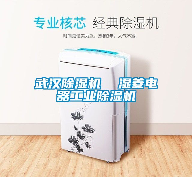 武汉除湿机  湿菱电器工业除湿机
